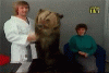 Woman gets attacked by bear on TV